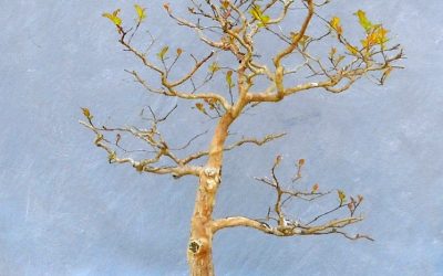 Art In Small Packages