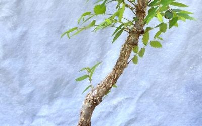 What In The World Do I Do With That?