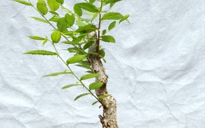 Here’s The Kind Of Progression I Like To See