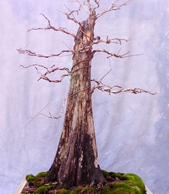 Watch Me Wire The Big BC – It’s Progress!