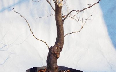 Subtle Changes, Big Impact