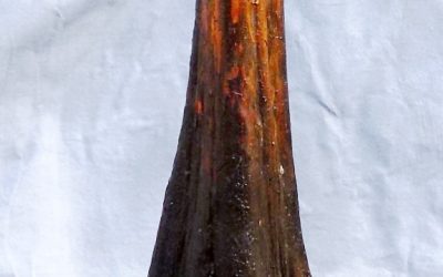 BC Collecting Trip #2 For 2020